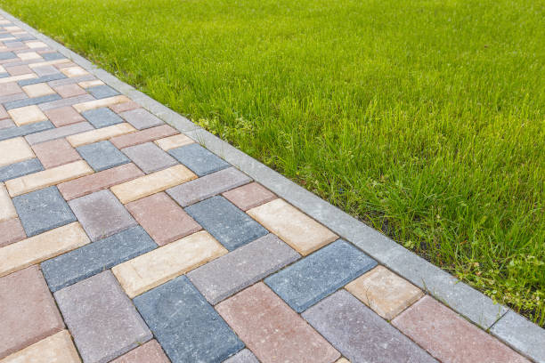 Best Driveway Paving Contractor  in Bridgeport, MI